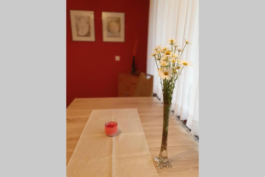 Apartma Kreda Mojstrana Kültér fotó